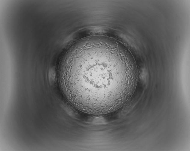 X0000115440715200911121123