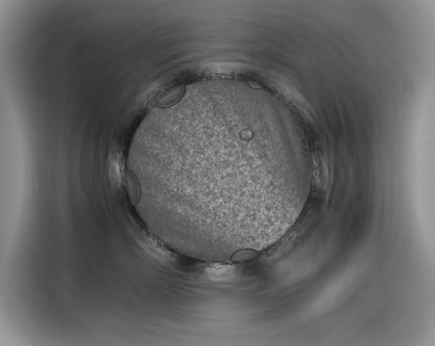 X0000115440718200911121123