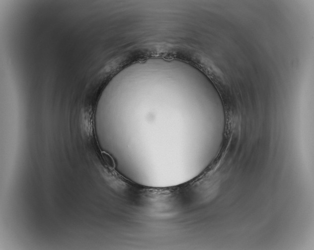 X0000115440719200911121123