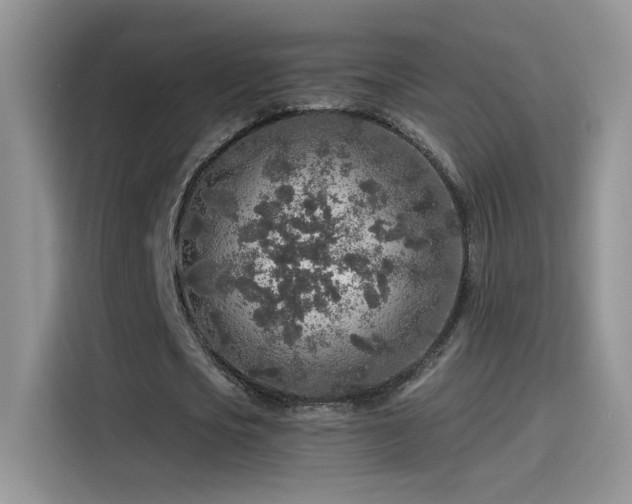 X0000115440721200911121122