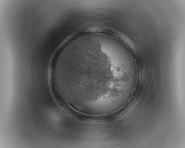 X0000115440722200911121122