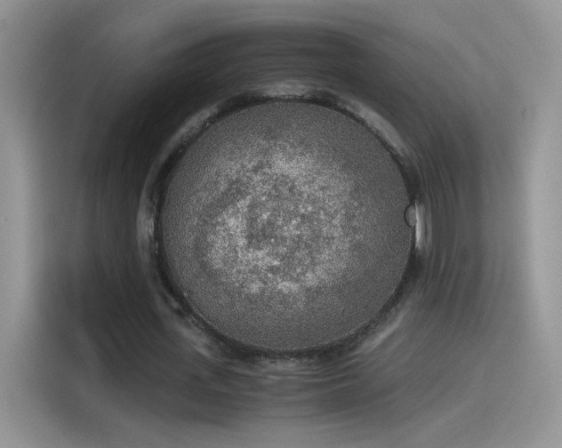 X0000115440723200911121122