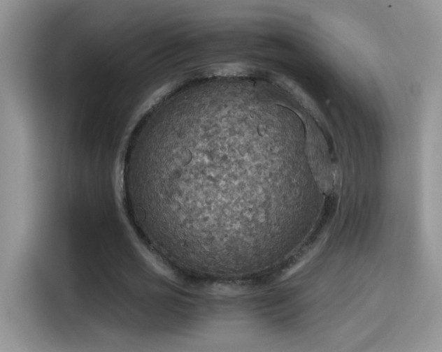X0000115440725200911121122