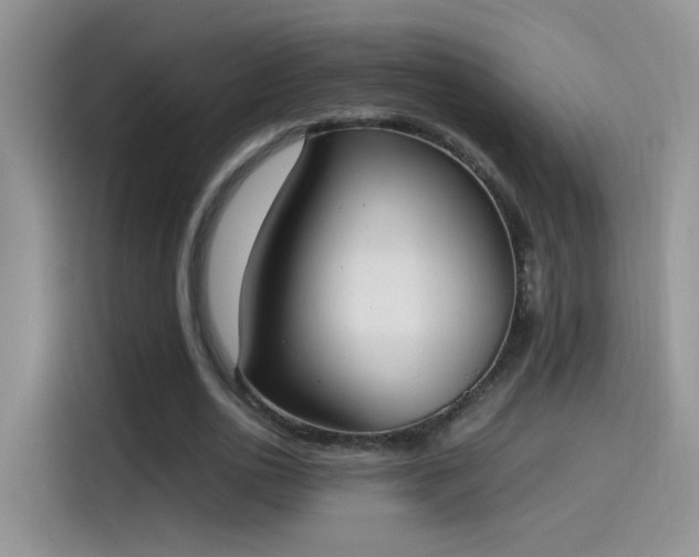 X0000115440726200911121122
