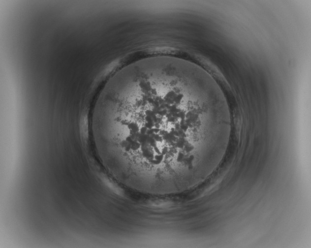 X0000115440729200911121122