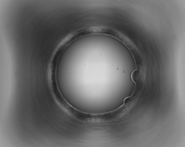 X0000115440730200911121123