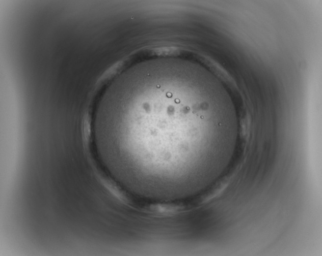 X0000115440733200911121123