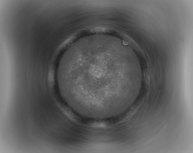 X0000115440735200911121123