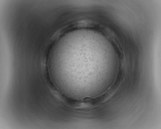 X0000115440737200911121123