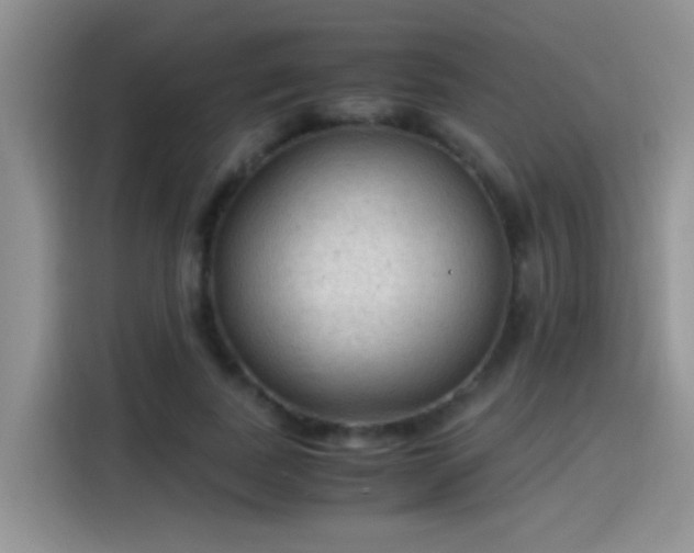 X0000115440739200911121123