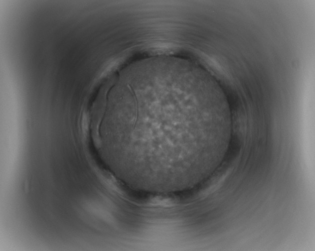 X0000115440742200911121123