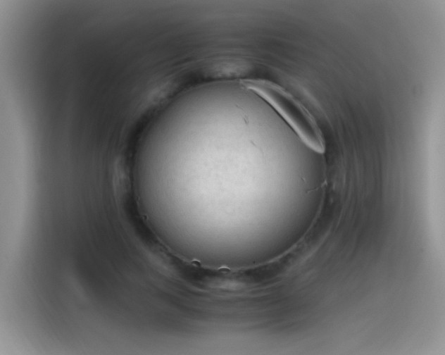 X0000115440743200911121123