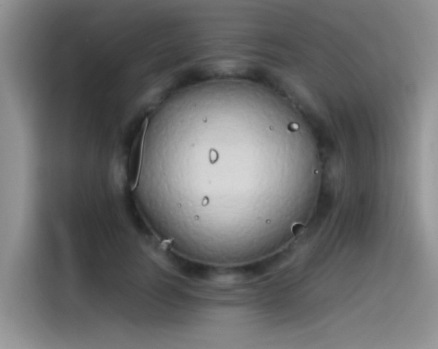 X0000115440746200911121123
