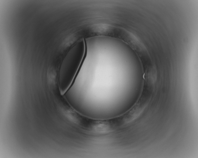 X0000115440750200911121123