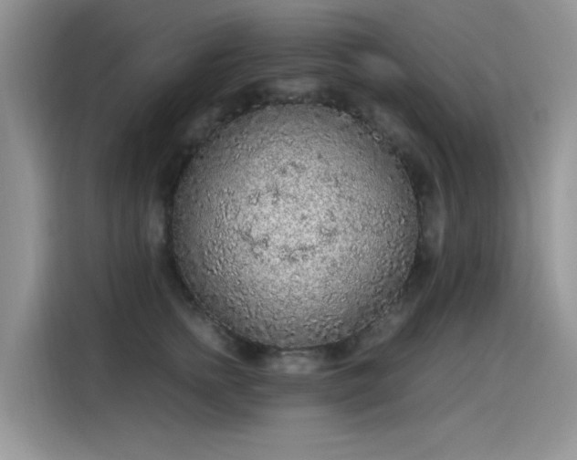 X0000115440758200911121123