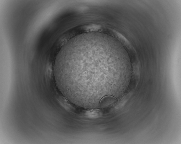 X0000115440761200911121123