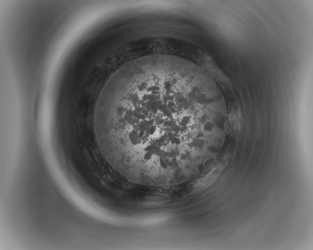 X0000115440765200911121123