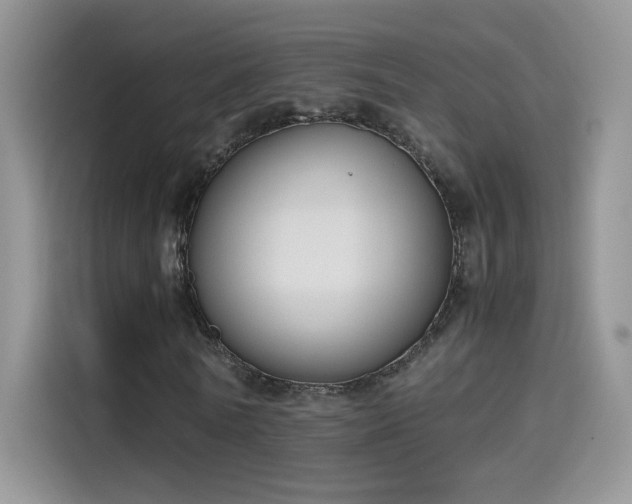 X0000115440770200911121122