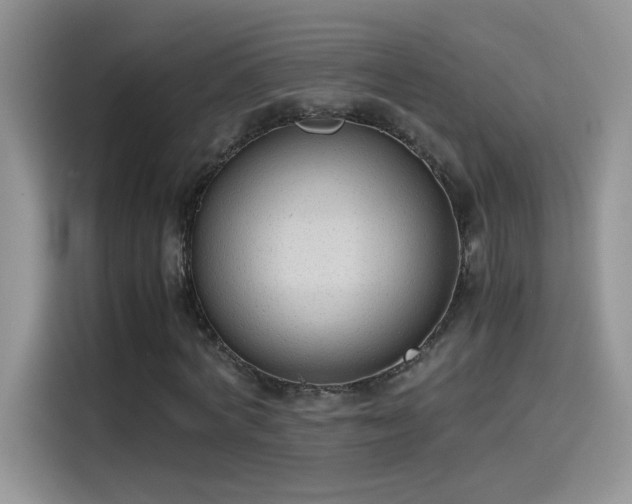 X0000115440772200911121122