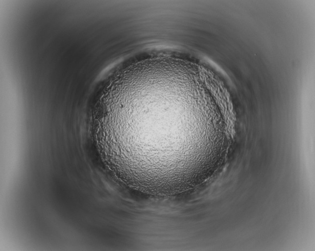 X0000115440775200911121122