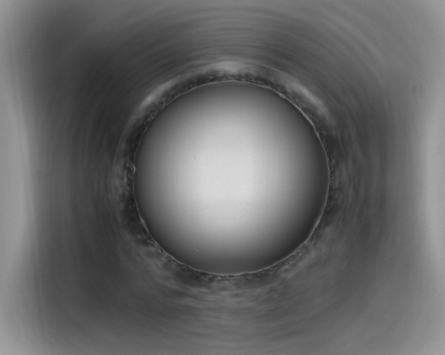 X0000115440776200911121122