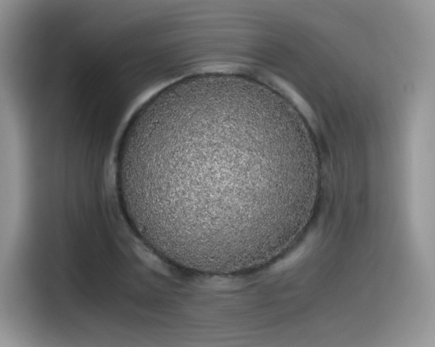 X0000115440779200911121122