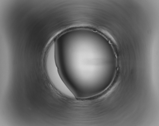 X0000115440781200911121122