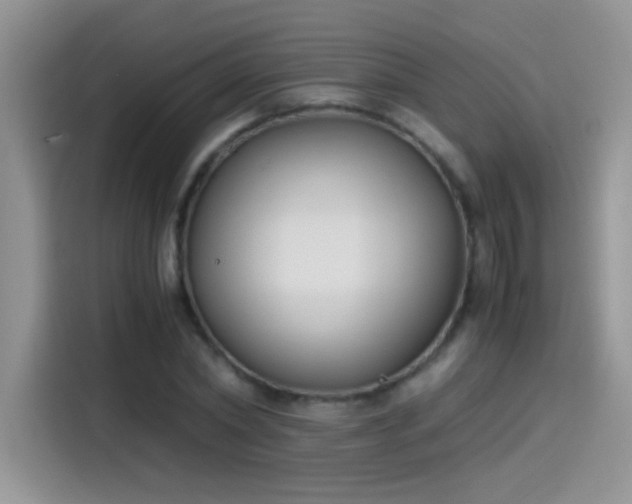 X0000115440782200911121122