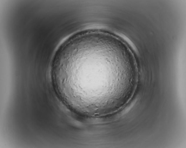 X0000115440783200911121122