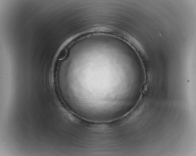 X0000115440784200911121122