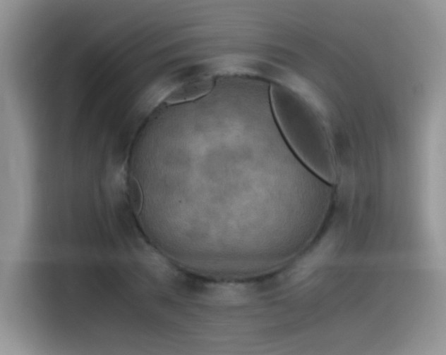 X0000115440785200911121122