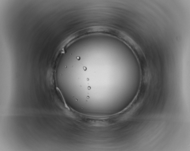 X0000115440786200911121122