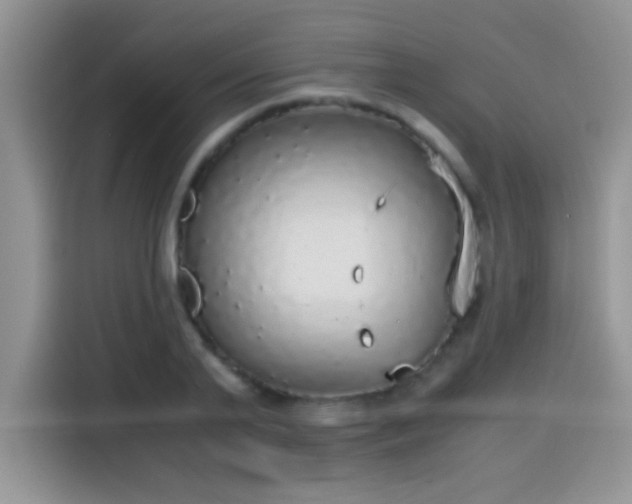 X0000115440791200911121122