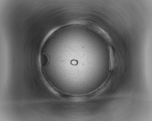X0000115440796200911121122