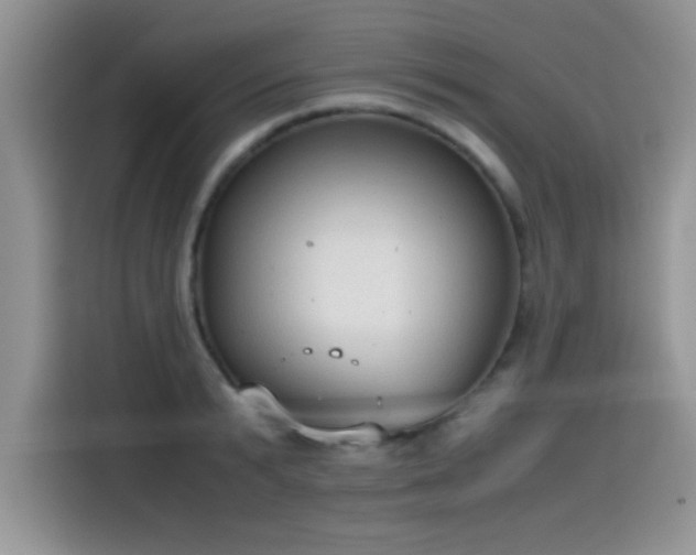 X0000115440799200911121122