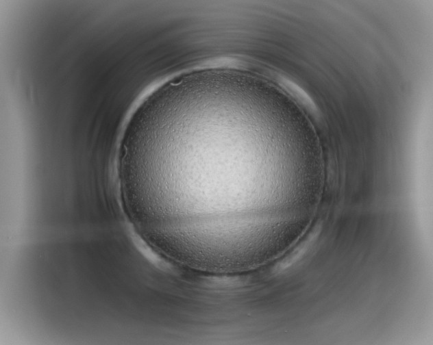 X0000115440800200911121122