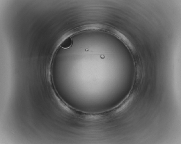 X0000115440802200911121122