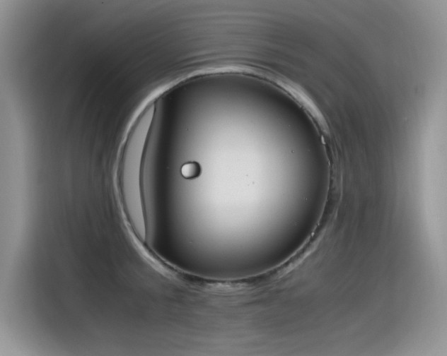 X0000115440805200911121122