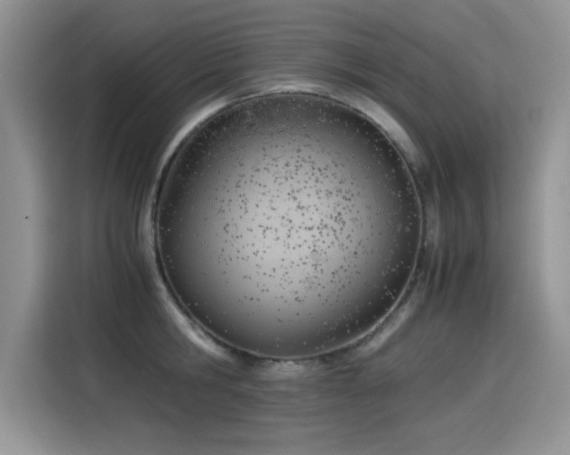 X0000115440806200911121122