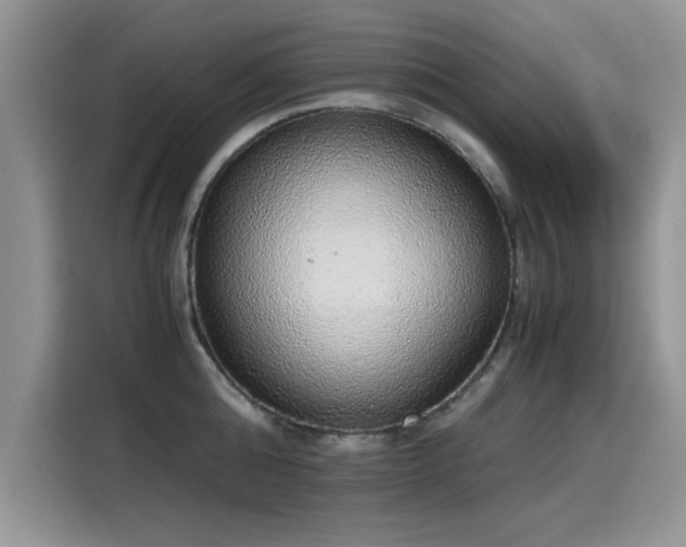 X0000115440808200911121122