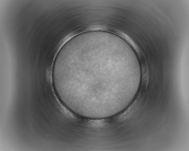 X0000115440810200911121122