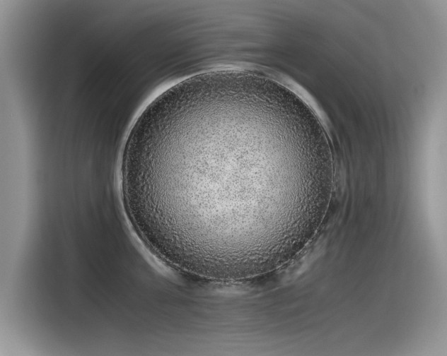 X0000115440811200911121122