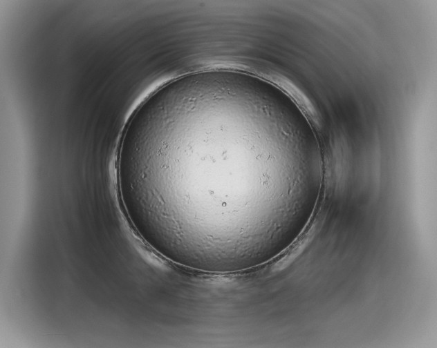 X0000115440814200911121122