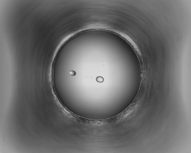 X0000115440815200911121122