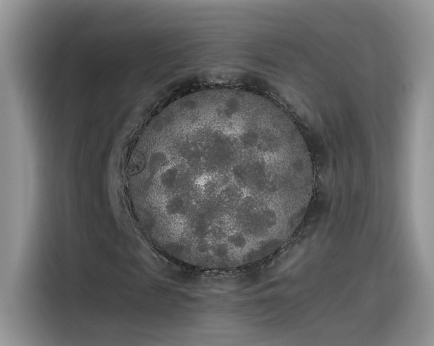 X0000115440817200911121121