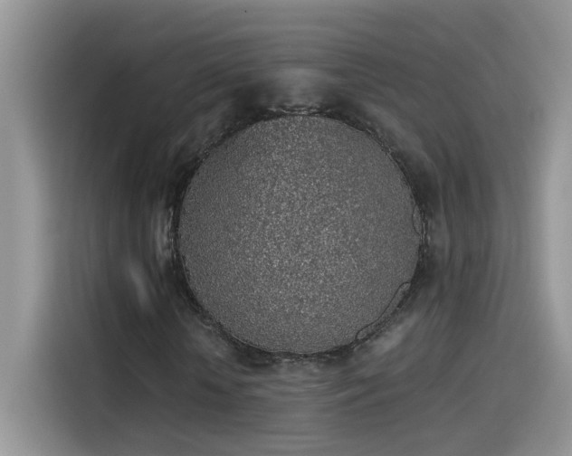 X0000115440818200911121121