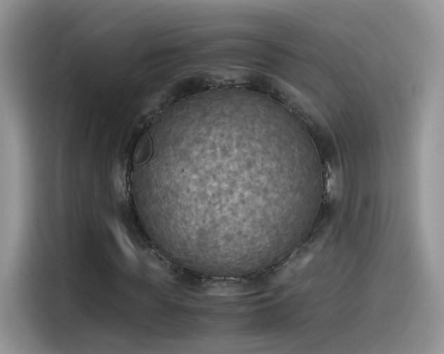 X0000115440819200911121121