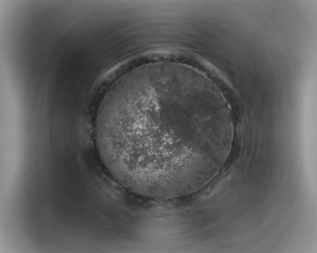 X0000115440822200911121121