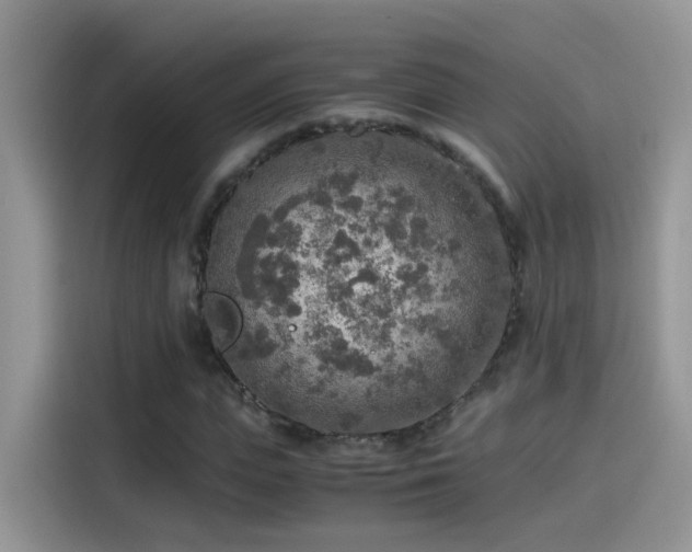 X0000115440823200911121121