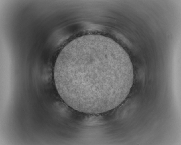 X0000115440824200911121121